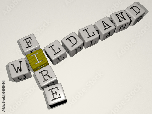 crosswords of WILDLAND FIRE arranged by cubic letters on a mirror floor, concept meaning and presentation. illustration and background