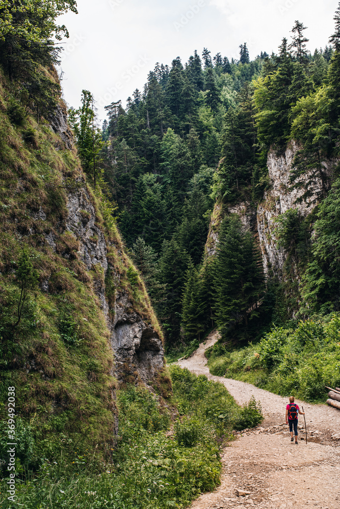 Lone woman hiking through a tree lined gorge