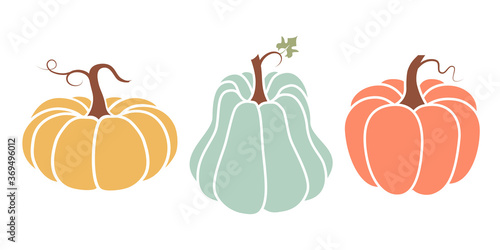 Bright illustration of pumpkins in a flat style. Cute vegetables are perfect for decorating autumn holidays, Halloween, healthy food, office supplies.