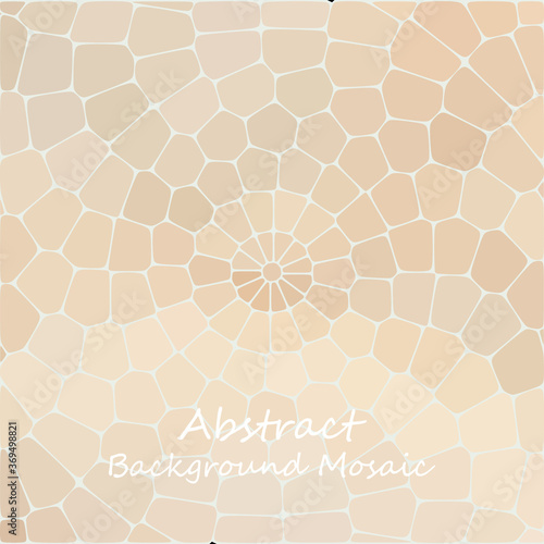 Round pattern of paving slabs. Multi-colored stone mosaic.