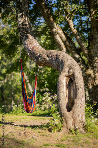 hanging hammock
