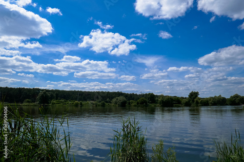 Beautiful landscape lake, plants, nature.