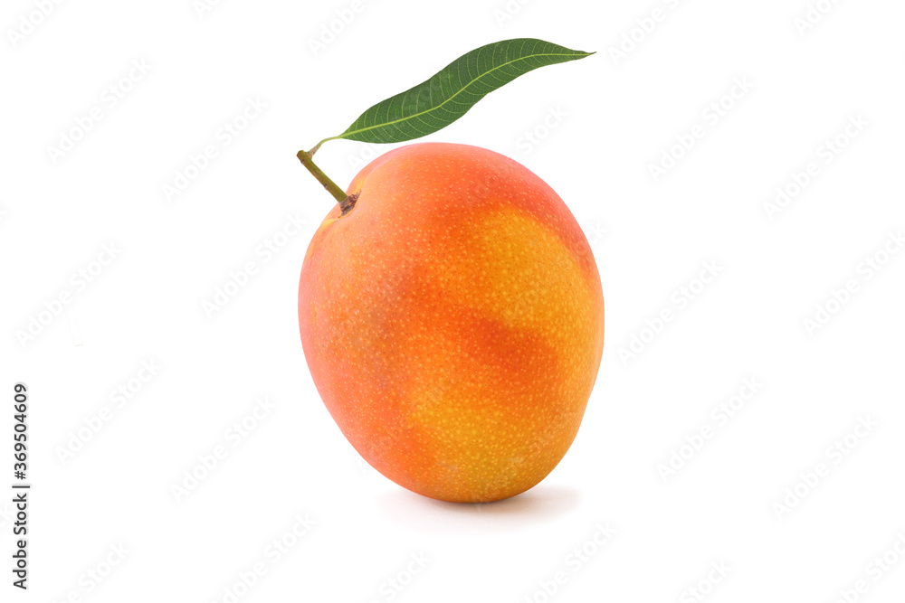 Tasty mango with a leaf isolated on white Tasty mango with a leaf isolated on white
