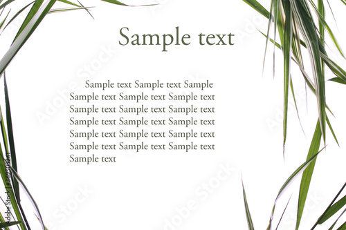 Poster with grass on isolated background for sample text. An article about natural cosmetics.