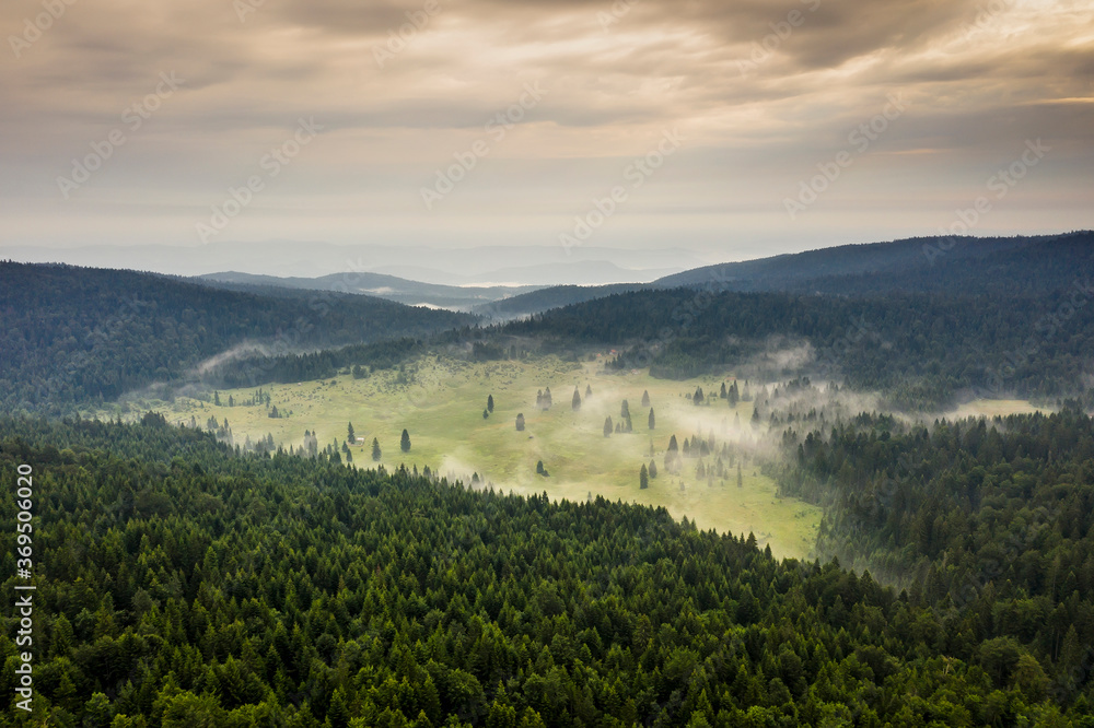 Naklejka premium Aerial view at mountain forest on a summer day