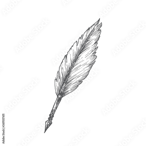 Feather Pen Hand Drawn Doodle Vector Illustration. Abstract Stationary Sketch. School or Education Themed Engraving Style Drawing.