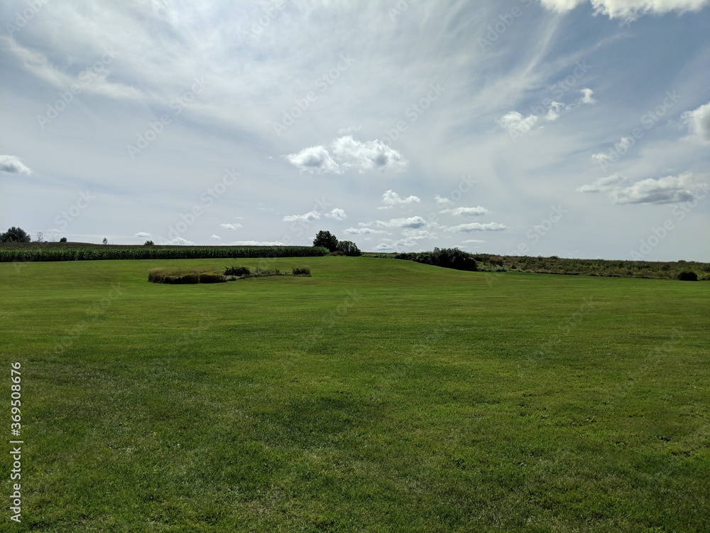 Fototapeta premium green field and blue sky