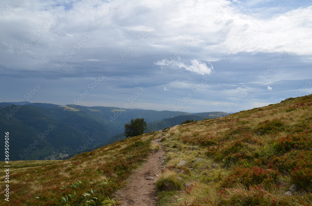 Massif des Vosges