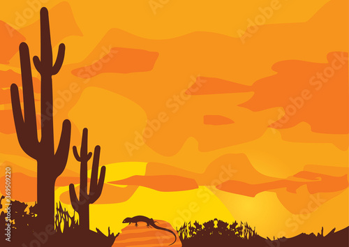 Mexican desert sunset background
