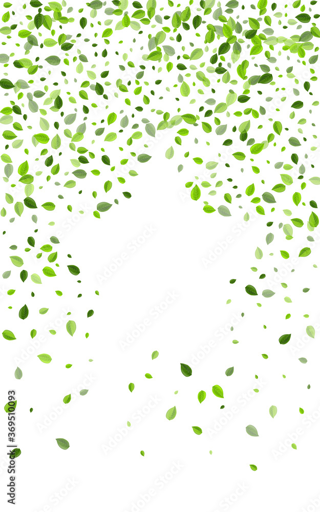 Green Leaf Realistic Vector Illustration. Motion 