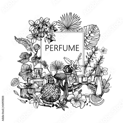 Poster / card / composition of hand drawn sketch style bottles of perfume and plants isolated on white background. Vector illustration.