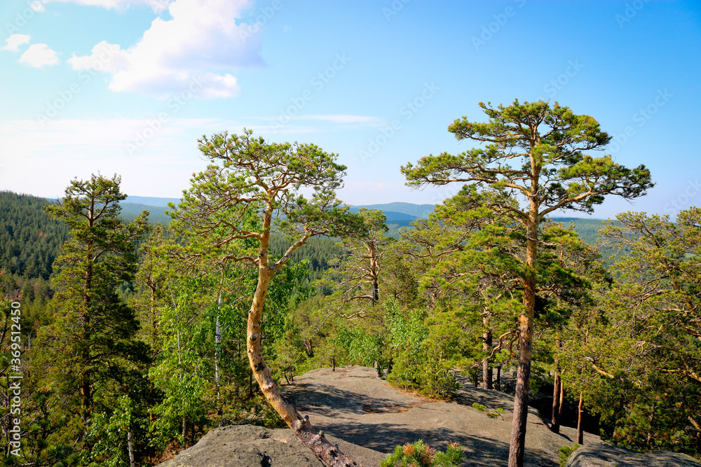 View of the plain and pine forests from the Chashkovsky ridge. Ural mountains. Eco-tourism and hiking concept. View of the plain and pine forests from the Chashkovsky ridge. Ural mountains. Eco-tourism and hiking concept.