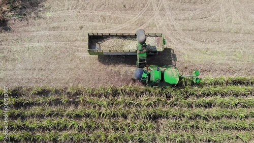 Aerial view of the Sugar cane harvesting 