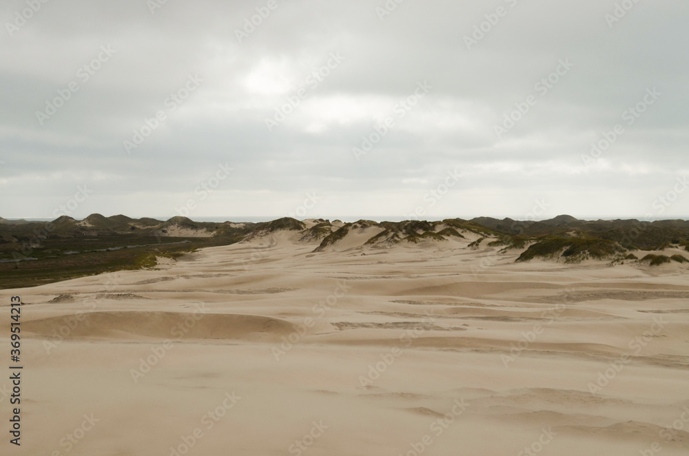 Sand dunes in Skagen, Denmark