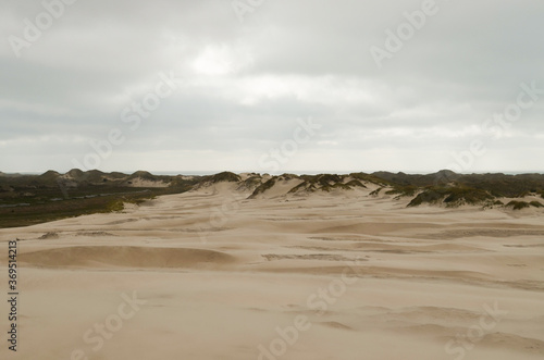 Sand dunes in Skagen  Denmark
