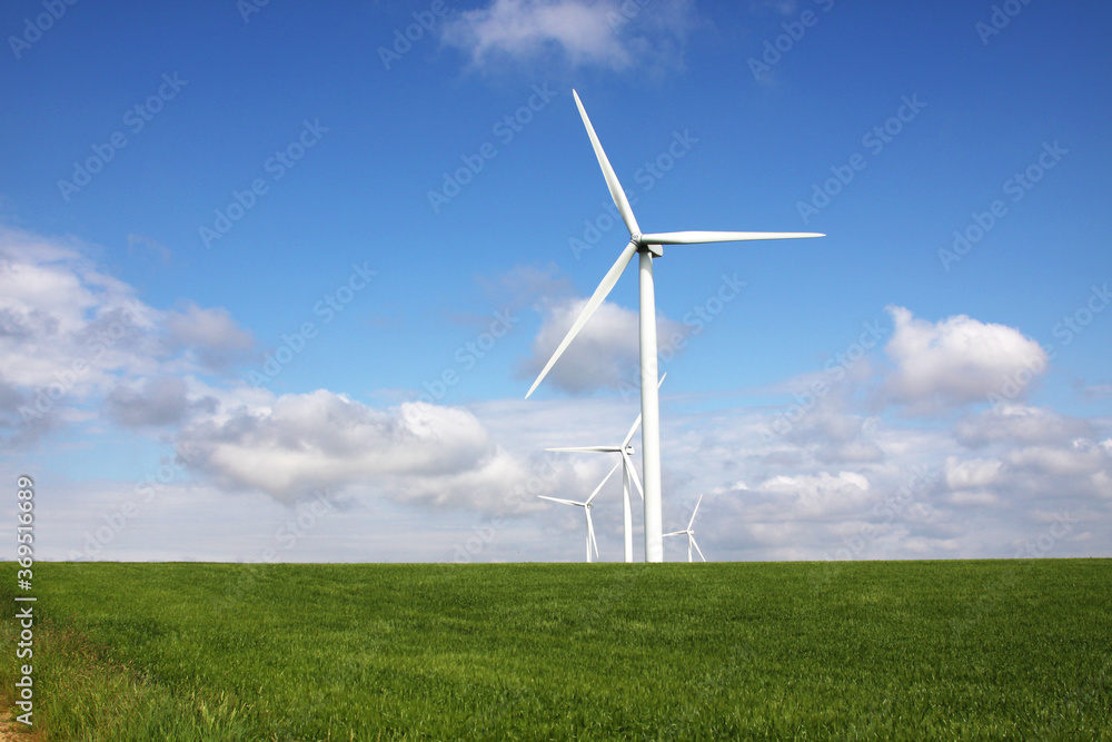 Fototapeta premium champ d'éoliennes pour la production d'électricité