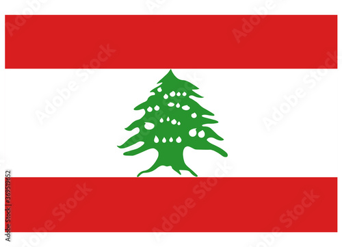 vector of tear drops on tree of Lebanon national  flag, Beirut massive explosion event background