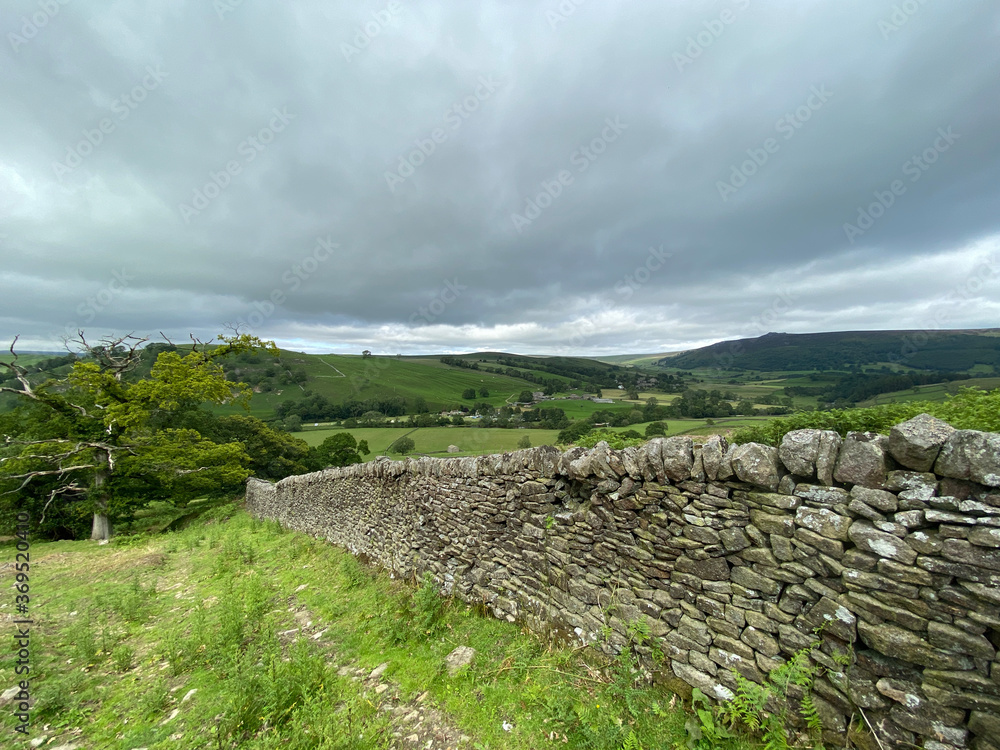 Side view, over a dry stone wall, with wild plants, trees, fields and meadows near, Appletreewick, Skipton, UK