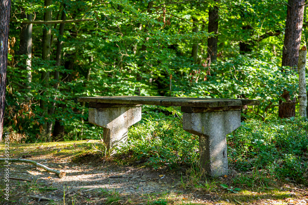 Sitzbank im Wald der Rothenthaler Alpen Sitzbank im Wald der Rothenthaler Alpen