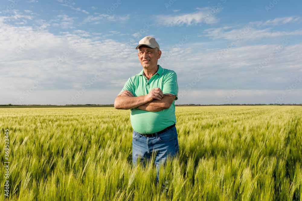 Portrait of senior farmer standing in in wheat field.