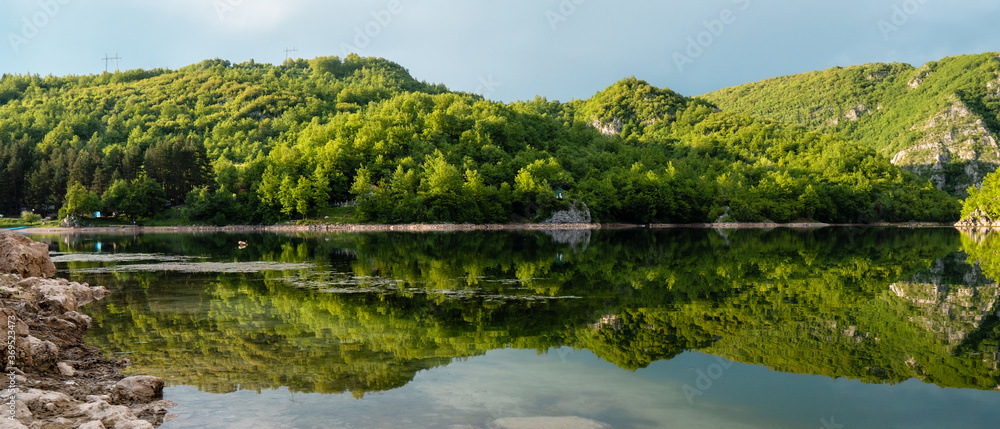 Trees on mountain by the water