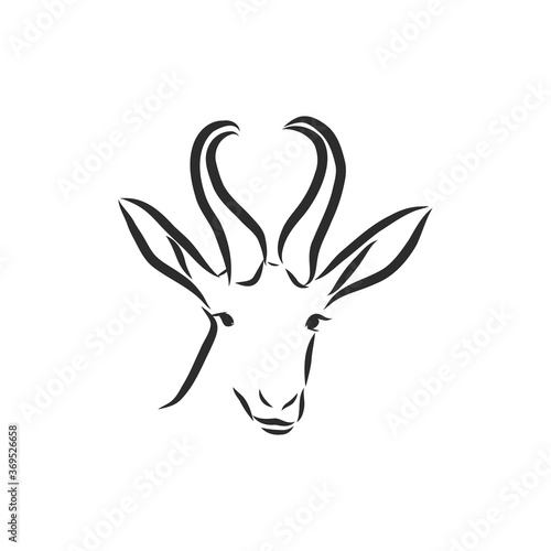 antelope sketch vector graphics black and white drawing