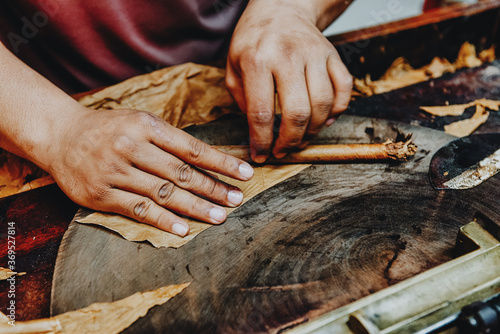 Closeup of hands making cigar from tobacco leaves. Traditional manufacture of cigars. Dominican Republic