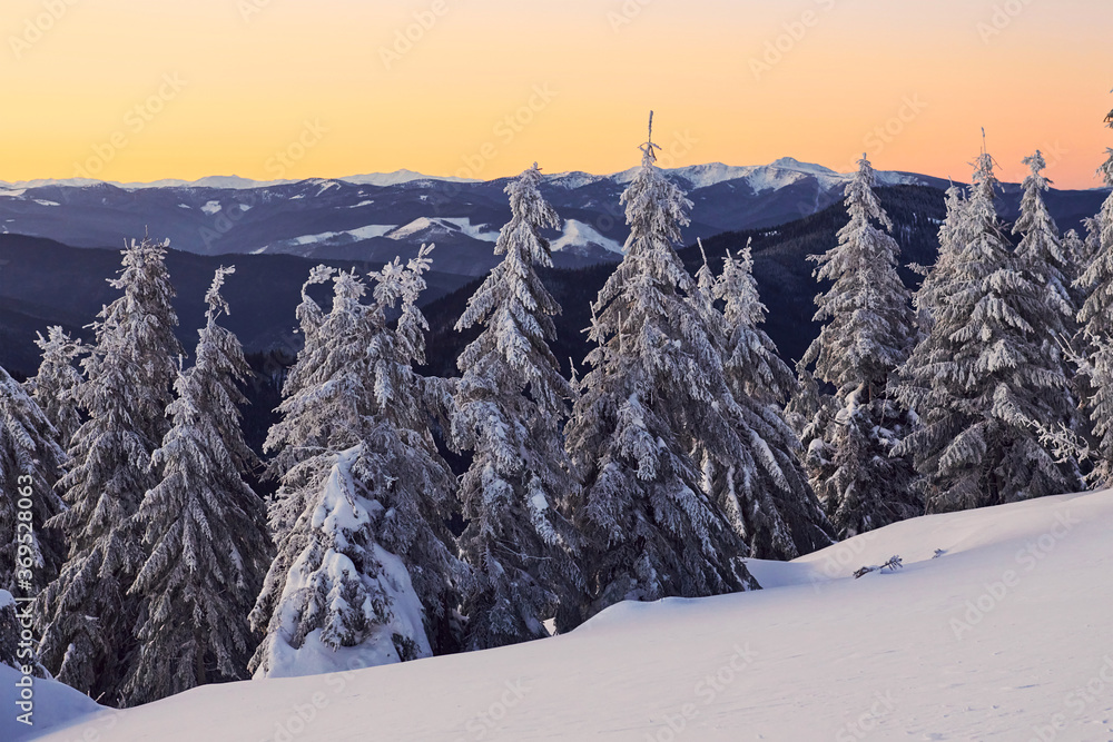 Fototapeta premium Beautiful majestic mountains at horizon. Magical winter landscape with snow covered trees at daytime