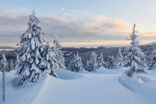 Snow covers lot of ground and trees. Magical winter landscape © standret