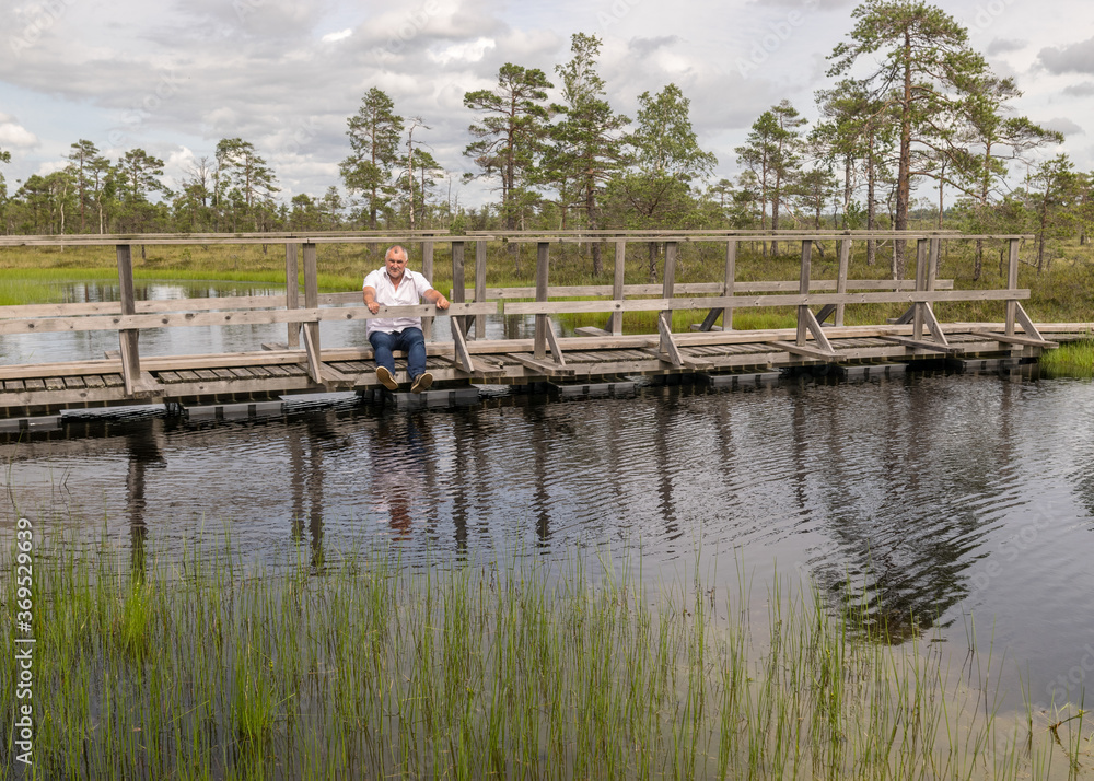 the summer swamp. a man in a white shirt sits on a wooden bridge. bog pond. bog background and vegetation the summer swamp. a man in a white shirt sits on a wooden bridge. bog pond. bog background and vegetation
