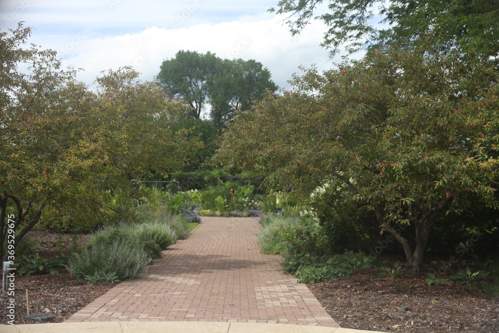 path in the park