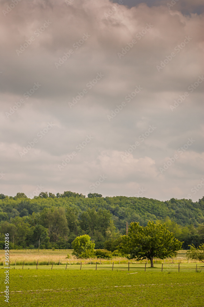 Fototapeta premium Paysage