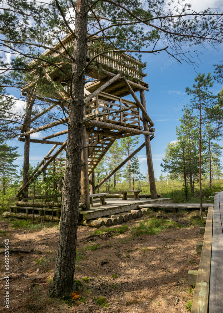 landscape with a wooden nature observation tower on the side of the bog, traditional bog vegetation background landscape with a wooden nature observation tower on the side of the bog, traditional bog vegetation background