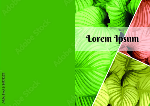 Botanical leaves in realistic vector art, design for A4 proportion cover and can be used for other usages such as backdrop, greeting card, annual report, etc.