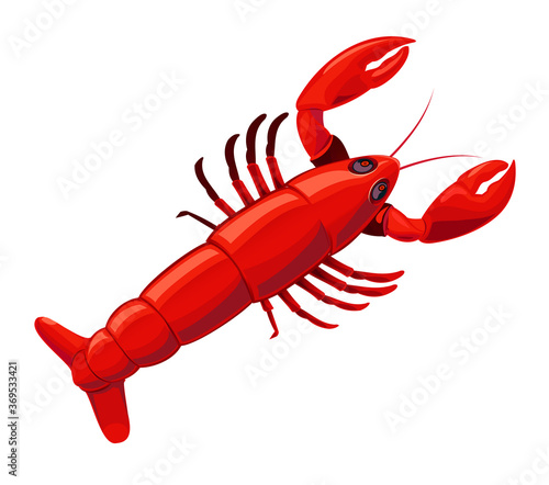 Vector illustration of red Lobster.
