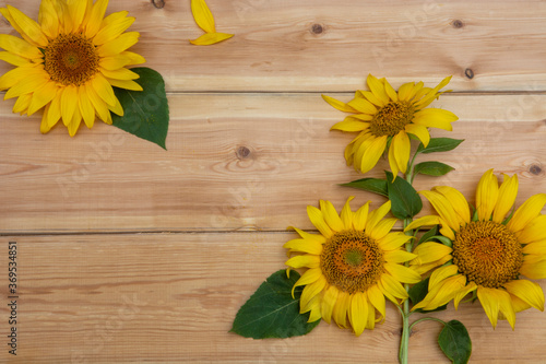 Fototapeta Naklejka Na Ścianę i Meble -  sunflower on wooden background