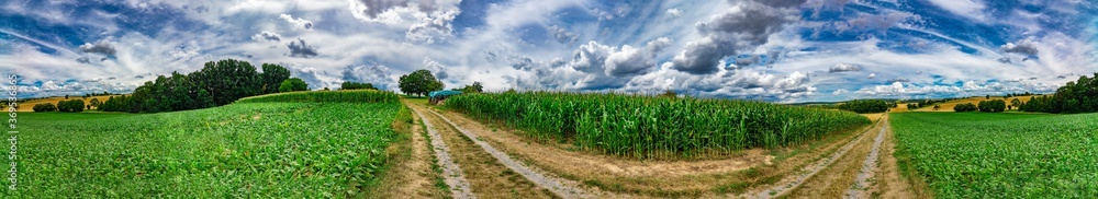 Panorama on some rural fields, with a blue sky and some clouds on it Panorama on some rural fields, with a blue sky and some clouds on it