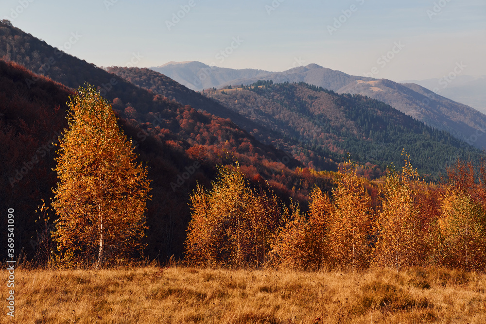 Majestic landscape of autumn trees and mountains by the horizon