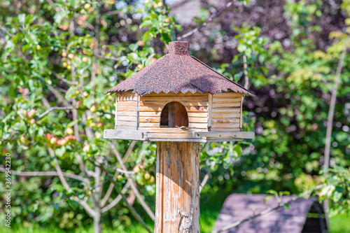 Birdhouse-feeder in the summer city park © ironstuffy