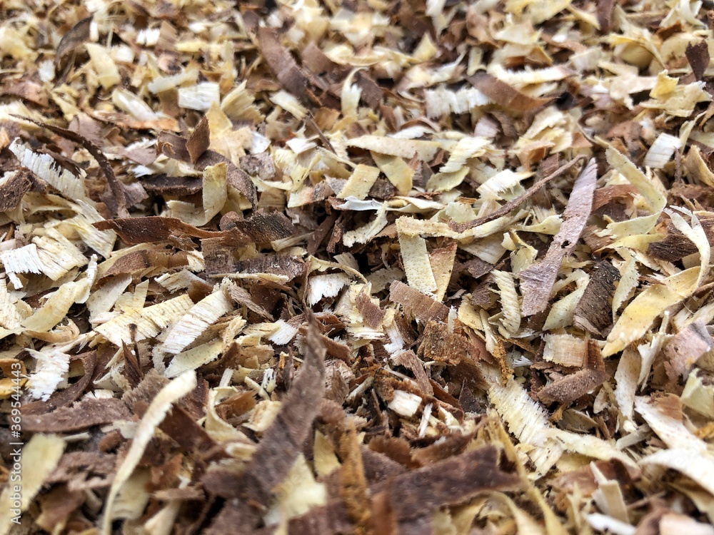 wood shavings background, wood texture close-up wood shavings background, wood texture close-up