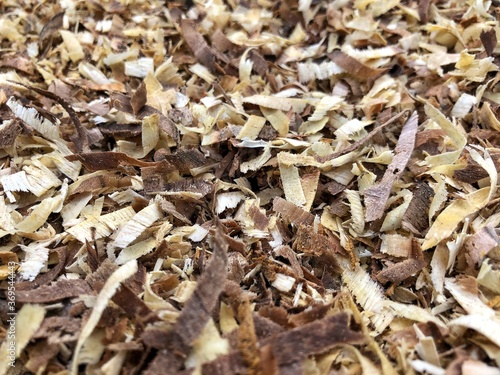 wood shavings background, wood texture close-up