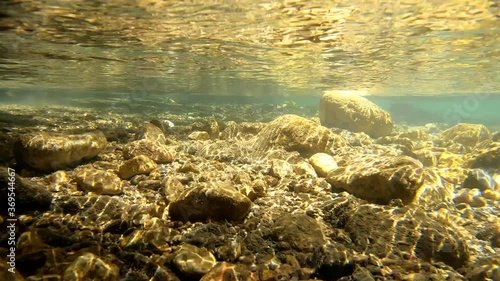 Rocks underwater on riverbed with clear freshwater, mountain river