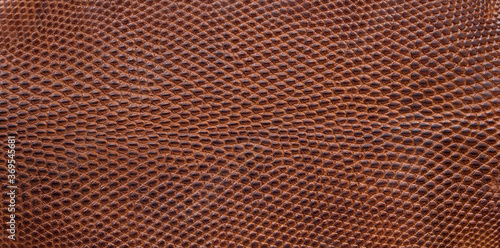 Texture of the brown leather of a young crocodile © IrinaK