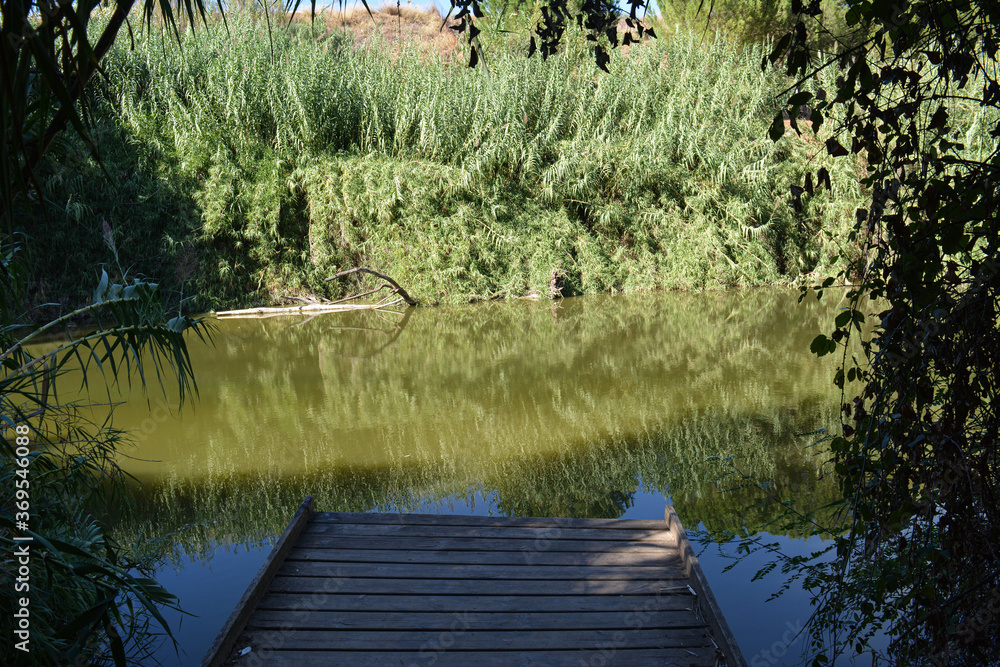 Fototapeta premium La Ribera del Guadaíra es un Monumento Natural de carácter mixto y ecocultural que ocupa un tramo del río Guadaíra de unos 10 km de longitud