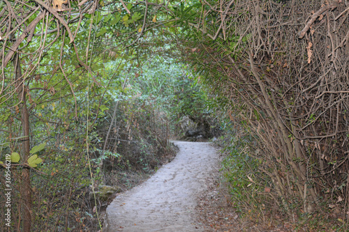 El parque d Oromana se convirtió en parque por iniciativa del ayuntamiento de la localidad, siendo alcalde Pedro Gutiérrez Calderón, que con el influjo de la Exposición de 1929 en Sevilla