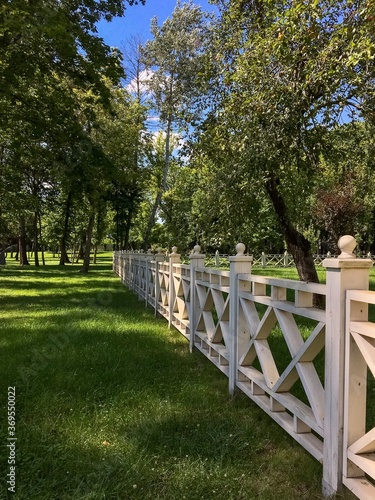 white wooden fence with a pattern in the park with green trees and green grass