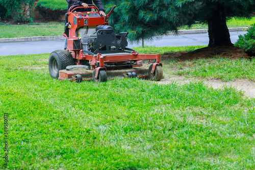 Gardening activity, lawn mower cutting the grass.