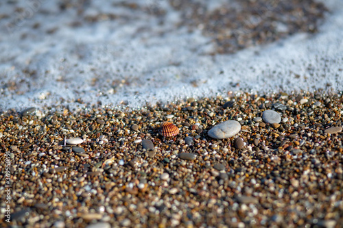 Small waves, sand particles and seashells by the sea