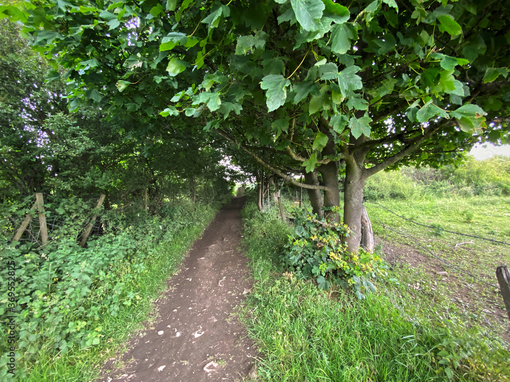 Narrow footpath, leading between the trees, by a field in, Calverley Woods, Leeds, UK Narrow footpath, leading between the trees, by a field in, Calverley Woods, Leeds, UK
