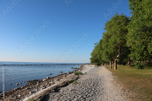 Fototapeta Naklejka Na Ścianę i Meble -  Holiday in Visby at Gotland, Baltic Sea Sweden